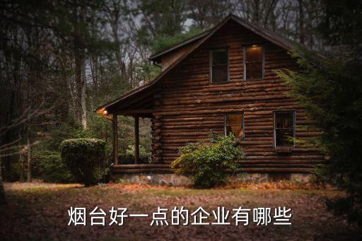 煙臺(tái)好一點(diǎn)的企業(yè)有哪些