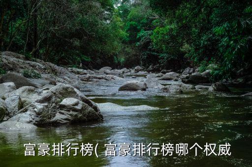  富豪排行榜( 富豪排行榜哪個權(quán)威