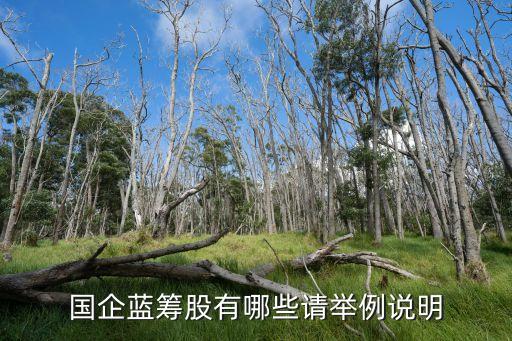 國(guó)企藍(lán)籌股有哪些請(qǐng)舉例說明