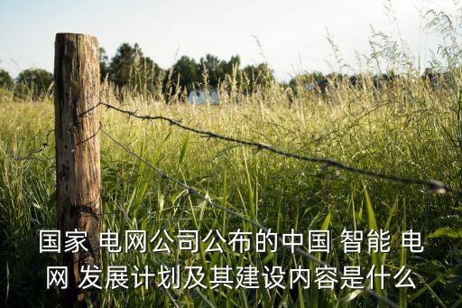國家 電網(wǎng)公司公布的中國 智能 電網(wǎng) 發(fā)展計劃及其建設(shè)內(nèi)容是什么