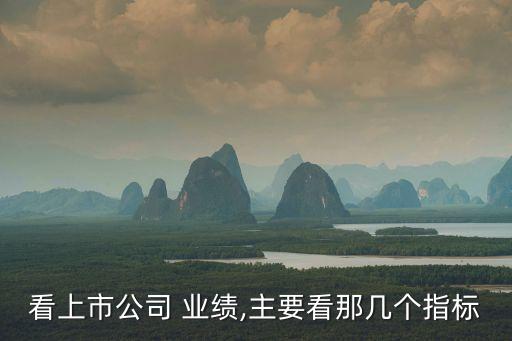 請(qǐng)問(wèn)怎么看股票業(yè)績(jī)啊,怎么看一只股票的業(yè)績(jī)好不好