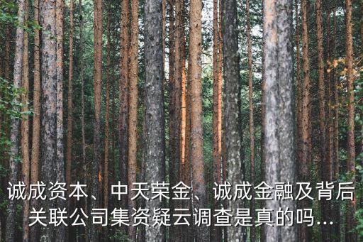 誠成資本、中天榮金、誠成金融及背后關(guān)聯(lián)公司集資疑云調(diào)查是真的嗎...