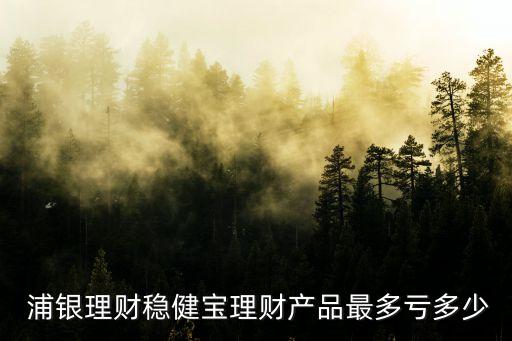  浦銀理財穩(wěn)健寶理財產(chǎn)品最多虧多少
