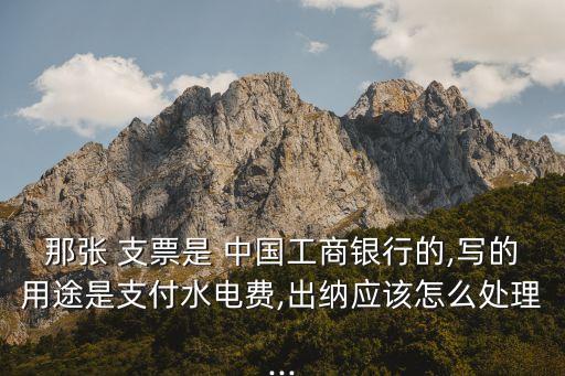 那張 支票是 中國工商銀行的,寫的用途是支付水電費,出納應(yīng)該怎么處理...