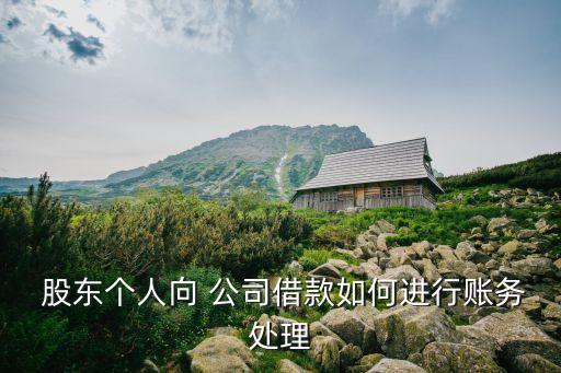 私營公司股東借公司,股東借公司的錢不還怎么辦