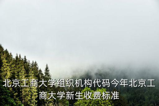 北京工商大學(xué)組織機構(gòu)代碼今年北京工商大學(xué)新生收費標(biāo)準(zhǔn)