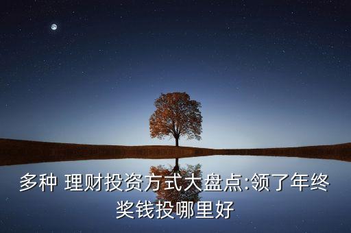 多種 理財(cái)投資方式大盤點(diǎn):領(lǐng)了年終獎錢投哪里好