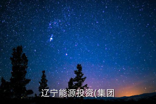 鐵嶺證券公司