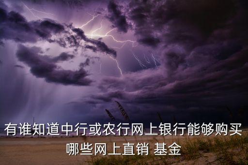 有誰(shuí)知道中行或農(nóng)行網(wǎng)上銀行能夠購(gòu)買(mǎi)哪些網(wǎng)上直銷(xiāo) 基金