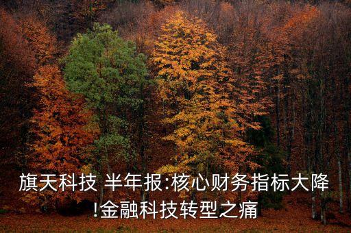 旗天科技 半年報:核心財務(wù)指標大降!金融科技轉(zhuǎn)型之痛