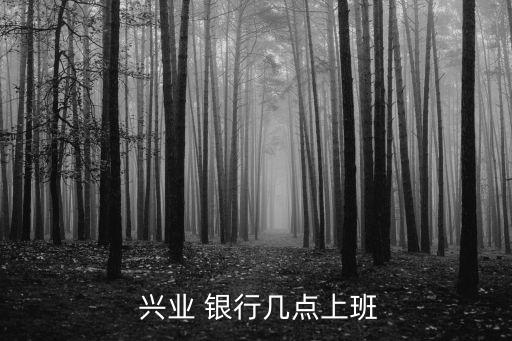 興業(yè)銀行夜市版時(shí)間
