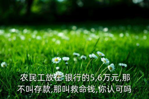  農民工放在 銀行的5,6萬元,那不叫存款,那叫救命錢,你認可嗎