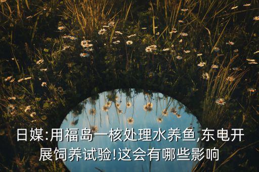 日媒:用福島一核處理水養(yǎng)魚,東電開展飼養(yǎng)試驗(yàn)!這會有哪些影響