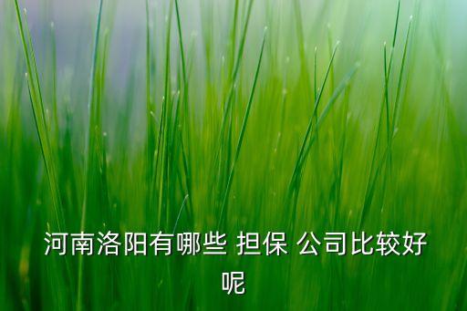  河南洛陽(yáng)有哪些 擔(dān)保 公司比較好呢