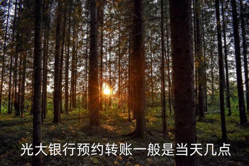  光大銀行預(yù)約轉(zhuǎn)賬一般是當(dāng)天幾點