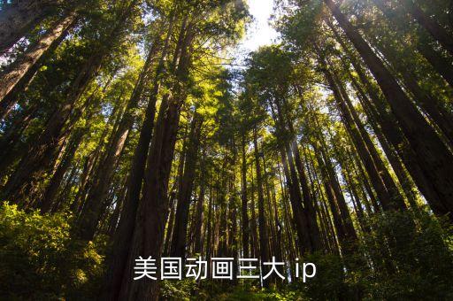 美國動(dòng)畫三大 ip