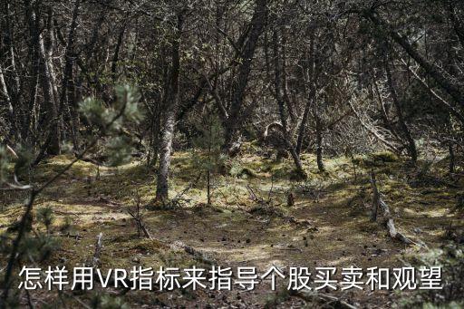 怎樣用VR指標(biāo)來(lái)指導(dǎo)個(gè)股買(mǎi)賣(mài)和觀望