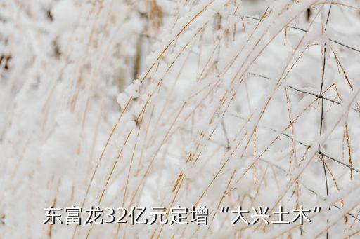 東富龍32億元定增“大興土木”