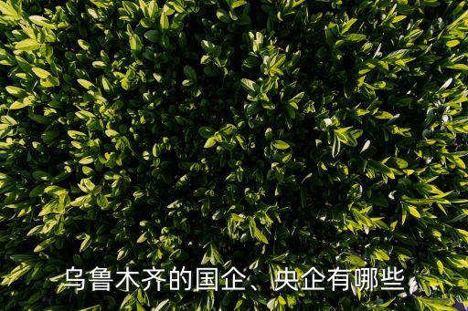 烏魯木齊的國(guó)企、央企有哪些