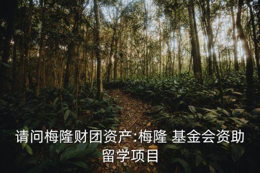請(qǐng)問梅隆財(cái)團(tuán)資產(chǎn):梅隆 基金會(huì)資助留學(xué)項(xiàng)目