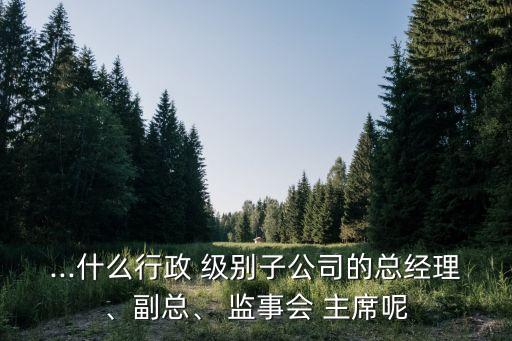 ...什么行政 級別子公司的總經(jīng)理、副總、 監(jiān)事會(huì) 主席呢