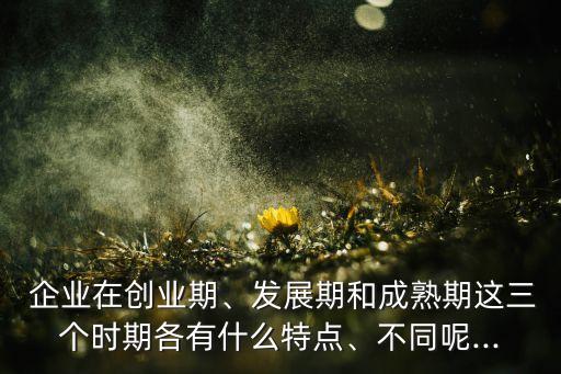  企業(yè)在創(chuàng)業(yè)期、發(fā)展期和成熟期這三個時期各有什么特點、不同呢...