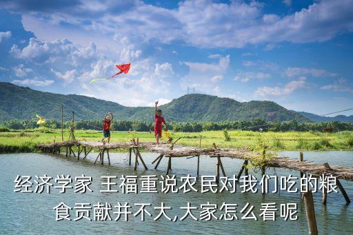 經(jīng)濟學家 王福重說農(nóng)民對我們吃的糧食貢獻并不大,大家怎么看呢