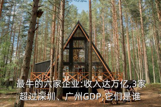  最牛的六家企業(yè):收入達(dá)萬(wàn)億,3家超過(guò)深圳、廣州GDP,它們是誰(shuí)