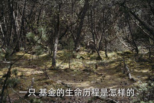 產業(yè)基金發(fā)起人協(xié)議