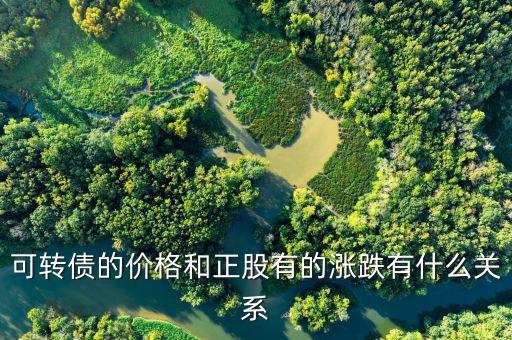 可轉(zhuǎn)債的價(jià)格和正股有的漲跌有什么關(guān)系