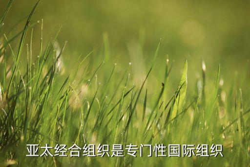 亞太經(jīng)合組織是專(zhuān)門(mén)性國(guó)際組織