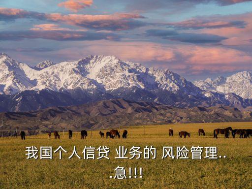 我國個人信貸 業(yè)務(wù)的 風(fēng)險(xiǎn)管理...急!!!