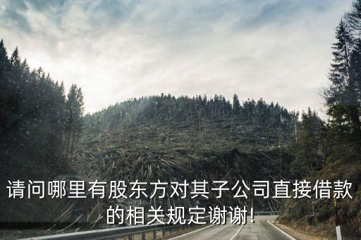 請問哪里有股東方對其子公司直接借款的相關(guān)規(guī)定謝謝!