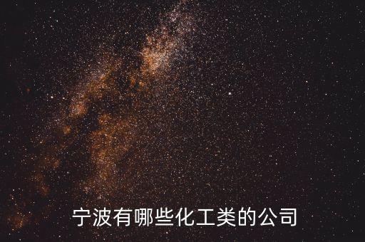 寧波中金石化有限公司孫永根