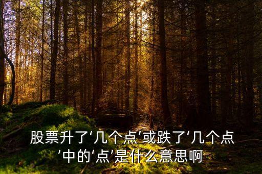 股票點(diǎn)是什么意思,股票3000點(diǎn)是什么意思