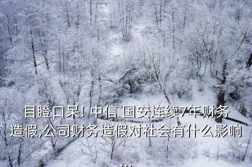 目瞪口呆! 中信 國安連續(xù)7年財務造假,公司財務造假對社會有什么影響...