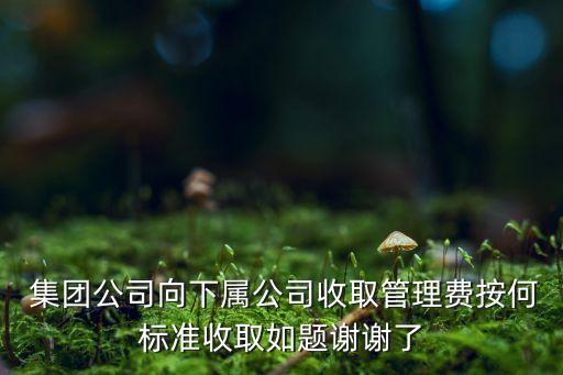 集團費用分攤,集團研發(fā)費用分攤