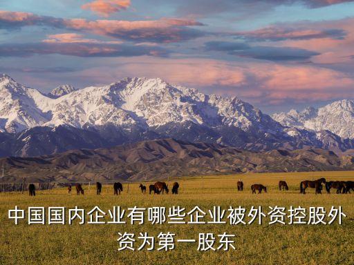 中國國內(nèi)企業(yè)有哪些企業(yè)被外資控股外資為第一股東