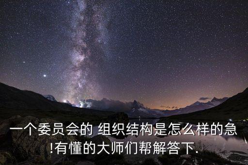 中鋼集團組織架構圖,比亞迪集團組織架構圖