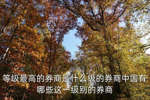 等級最高的券商是什么級的券商中國有哪些這一級別的券商