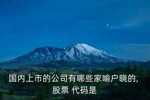 國內上市的公司有哪些家喻戶曉的, 股票 代碼是
