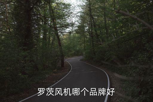 羅茨風(fēng)機(jī)哪個(gè)品牌好