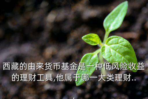 西藏的由來(lái)貨幣基金是一種低風(fēng)險(xiǎn)收益的理財(cái)工具,他屬于哪一大類理財(cái)...