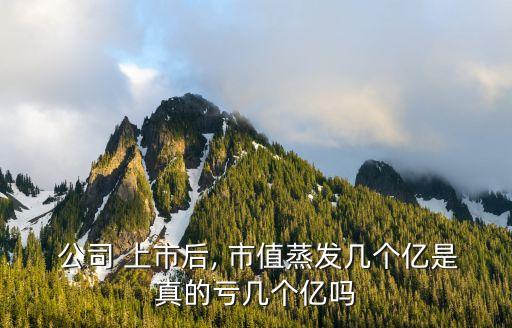 公司上市市值,蘋(píng)果公司上市市值