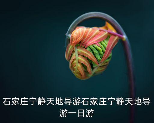 石家莊寧?kù)o天地導(dǎo)游石家莊寧?kù)o天地導(dǎo)游一日游