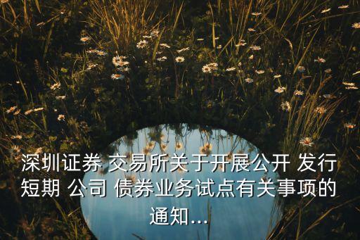 深圳證券 交易所關(guān)于開展公開 發(fā)行短期 公司 債券業(yè)務(wù)試點(diǎn)有關(guān)事項的通知...