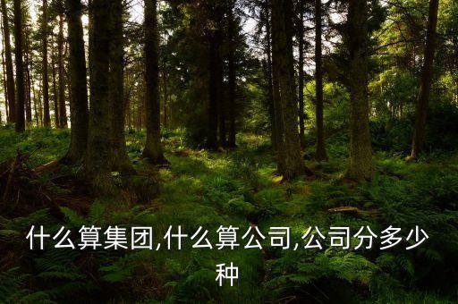 關(guān)于設(shè)立子公司的請(qǐng)示