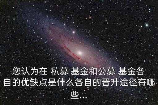 您認為在 私募 基金和公募 基金各自的優(yōu)缺點是什么各自的晉升途徑有哪些...