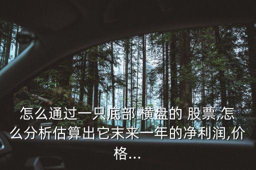 怎么通過一只底部 橫盤的 股票,怎么分析估算出它末來一年的凈利潤,價(jià)格...
