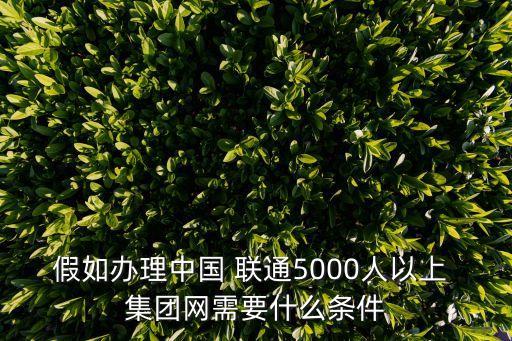 怎么加入聯(lián)通集團(tuán)網(wǎng),聯(lián)通集團(tuán)網(wǎng)最多可以多少人